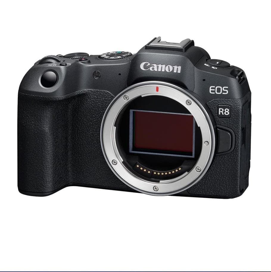 Canon EOS R8 Full-Frame Mirrorless Camera Body